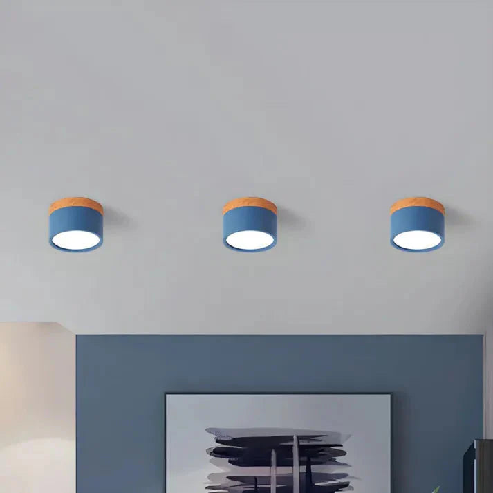 Compact Aluminum Cylinder LED Ceiling Light | Hallways