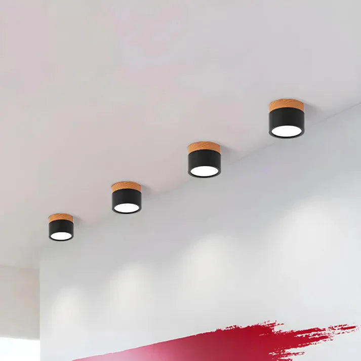 Compact Aluminum Cylinder LED Ceiling Light | Hallways