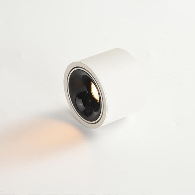 Minimalist Adjustable LED Flush Mount Ceiling Light - Round Spotlight Fixture