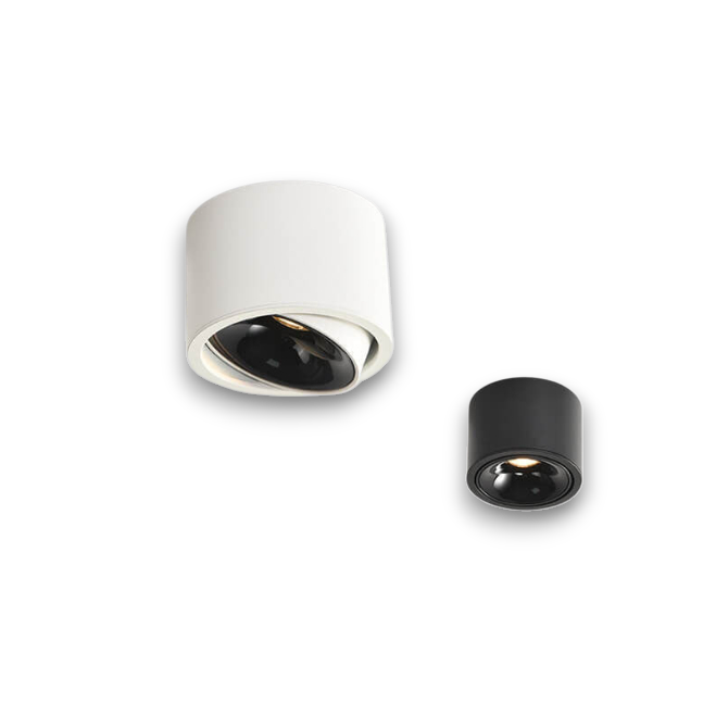 Minimalist Adjustable LED Flush Mount Ceiling Light - Round Spotlight Fixture