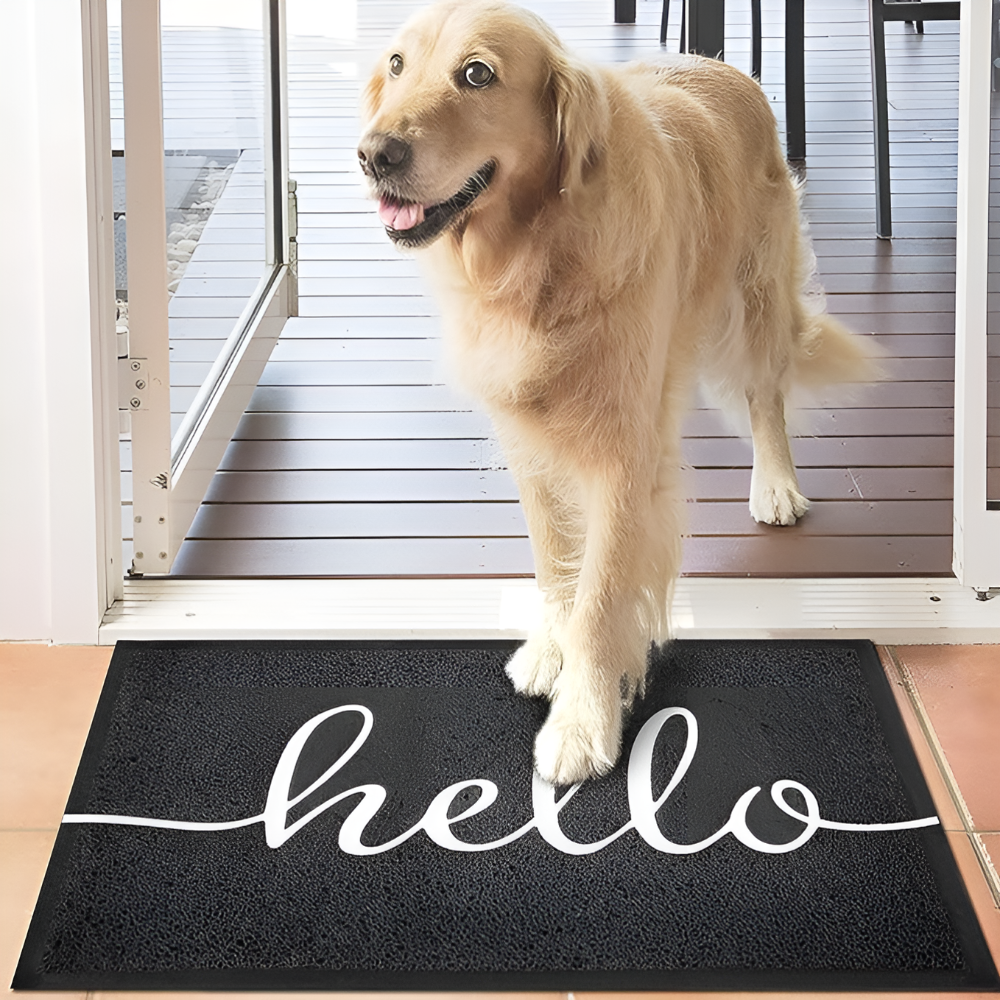Warm Greeting Modern Doormat