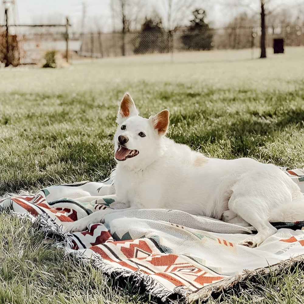 Stylish Bohemian Picnic Rug