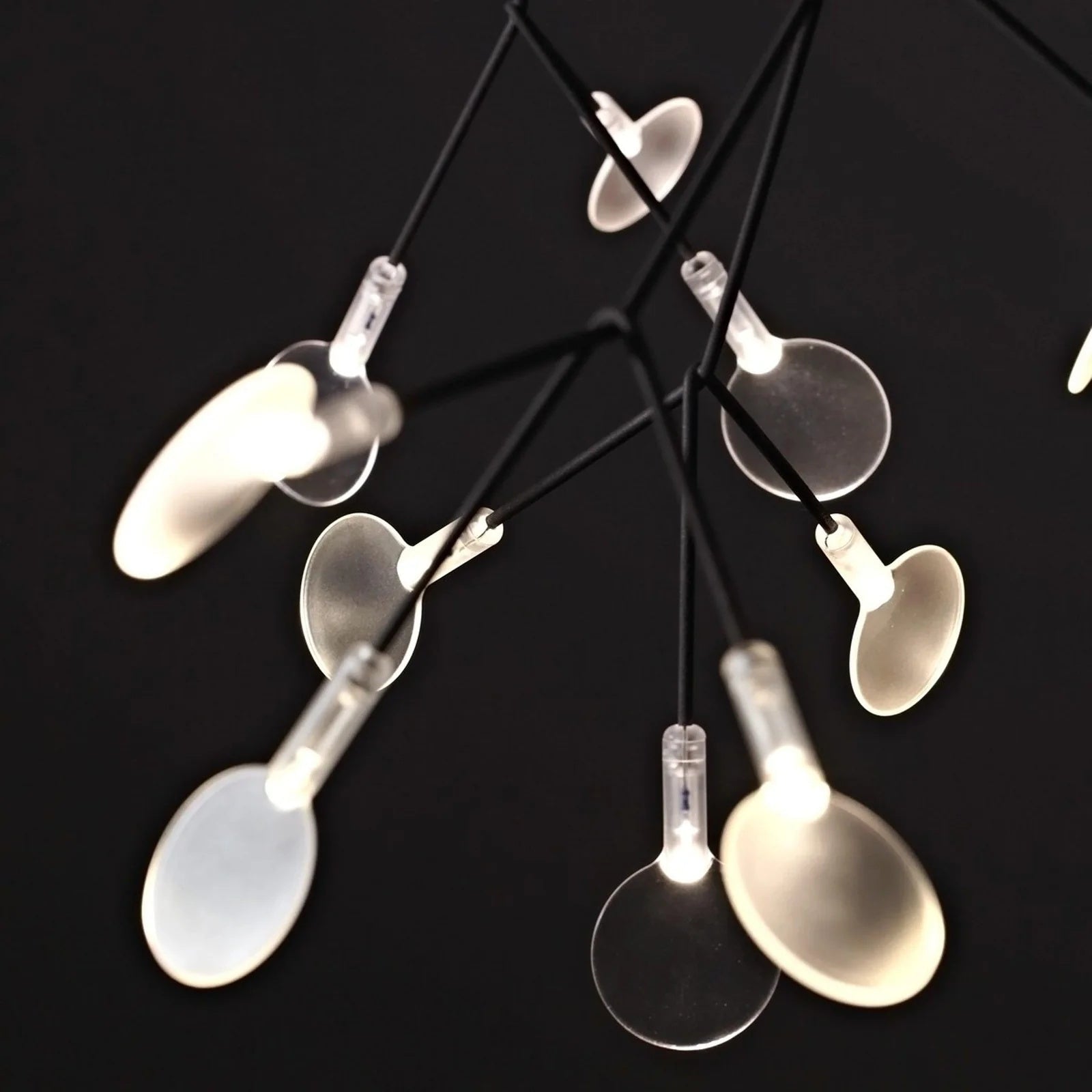 Contemporary Heracleum Pendant Chandelier – Stylish Lighting