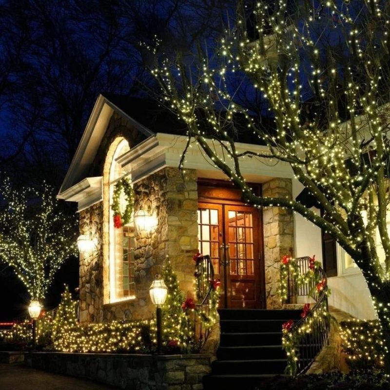 Silver Wire Fairy String Lights | Christmas Light & Garden