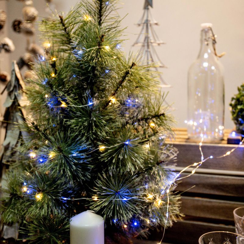 Silver Wire Fairy String Lights | Christmas Light & Garden