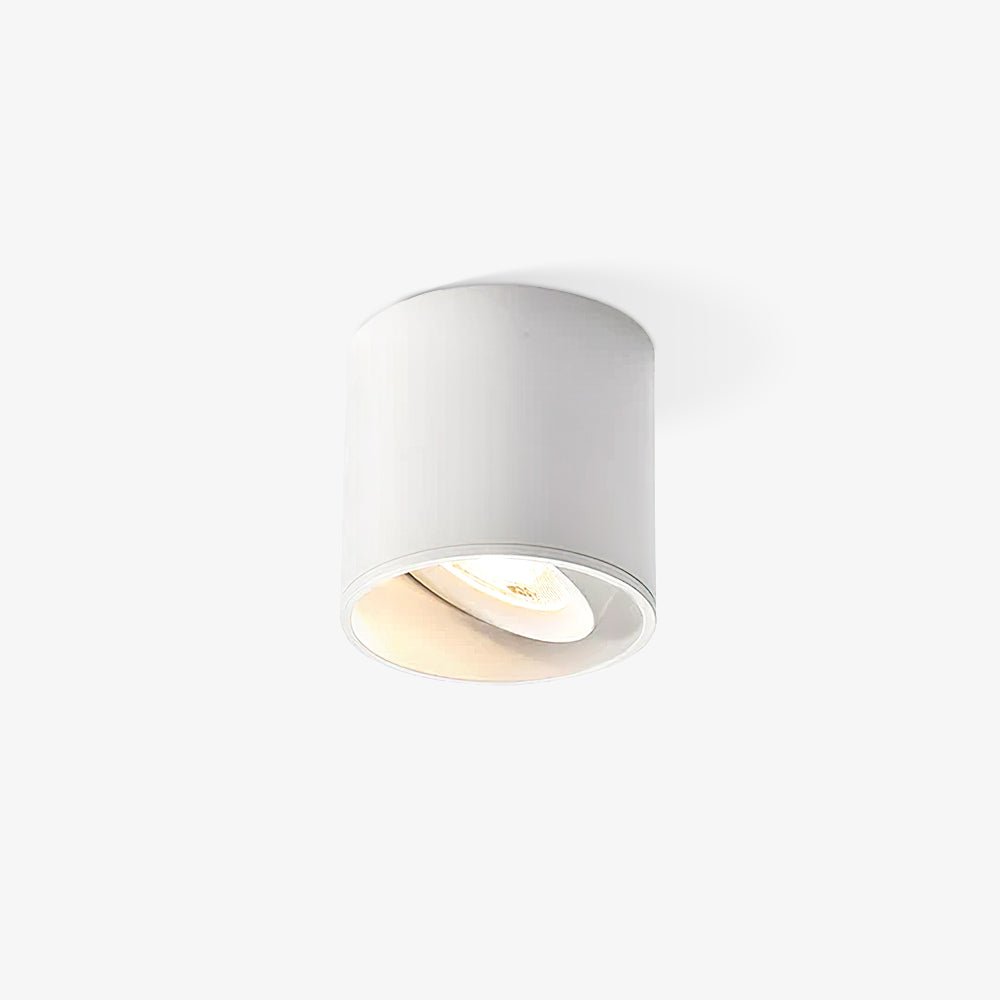 Modern Flush Mount Ceiling Lamp - Sleek Metal Frame with Acrylic Lens