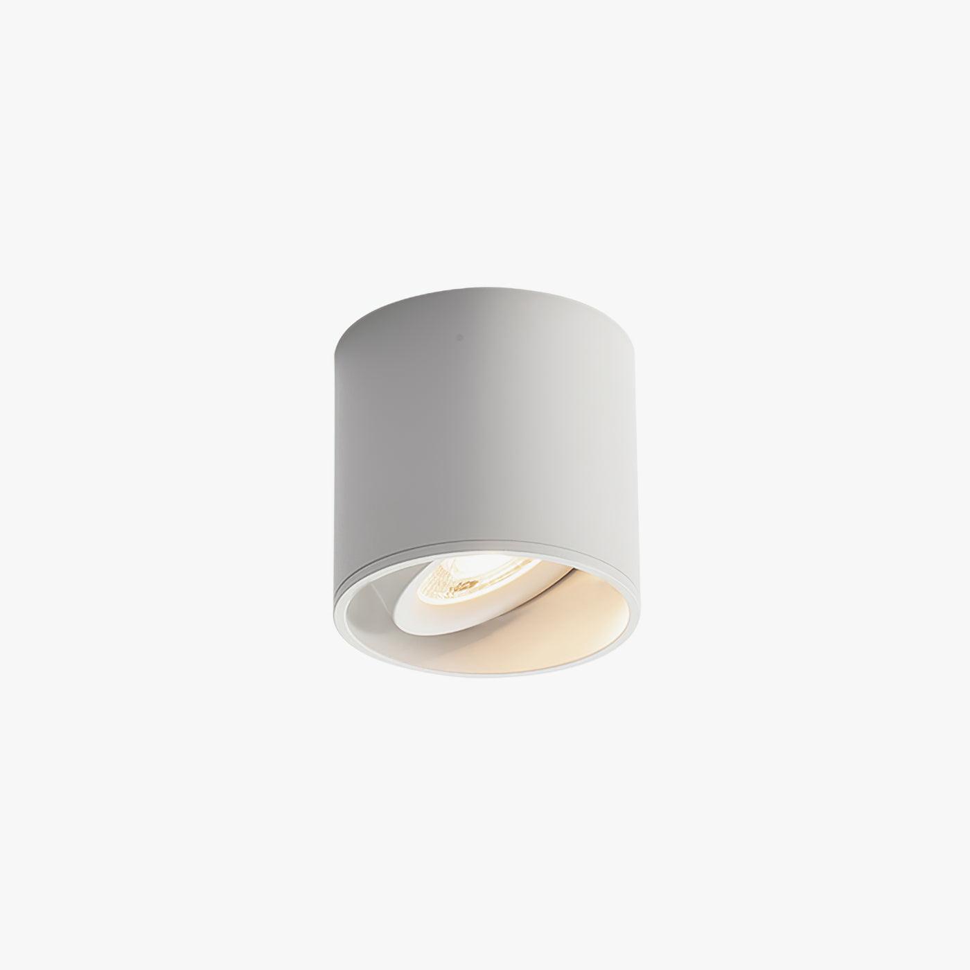 Modern Flush Mount Ceiling Lamp - Sleek Metal Frame with Acrylic Lens