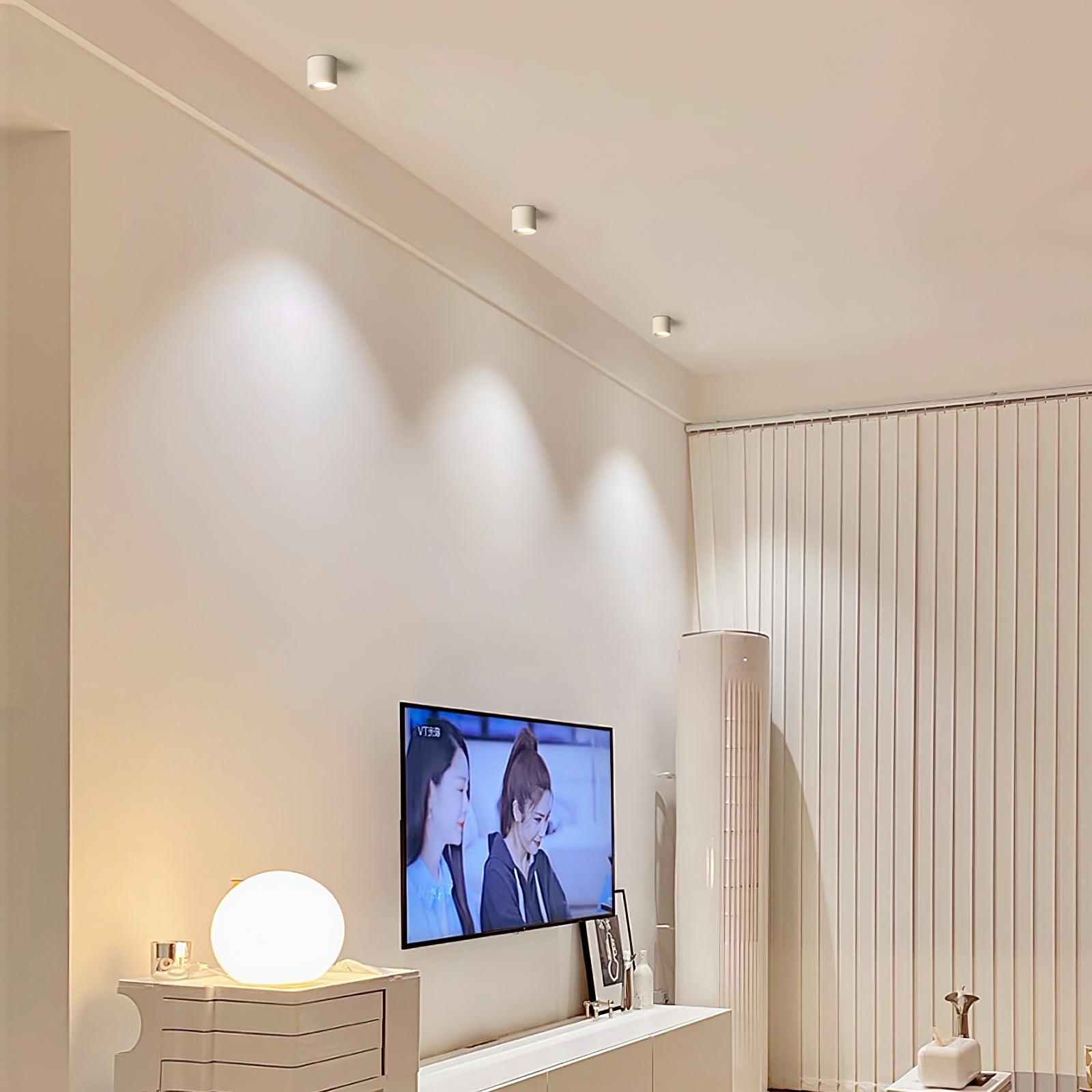 Modern Flush Mount Ceiling Lamp - Sleek Metal Frame with Acrylic Lens