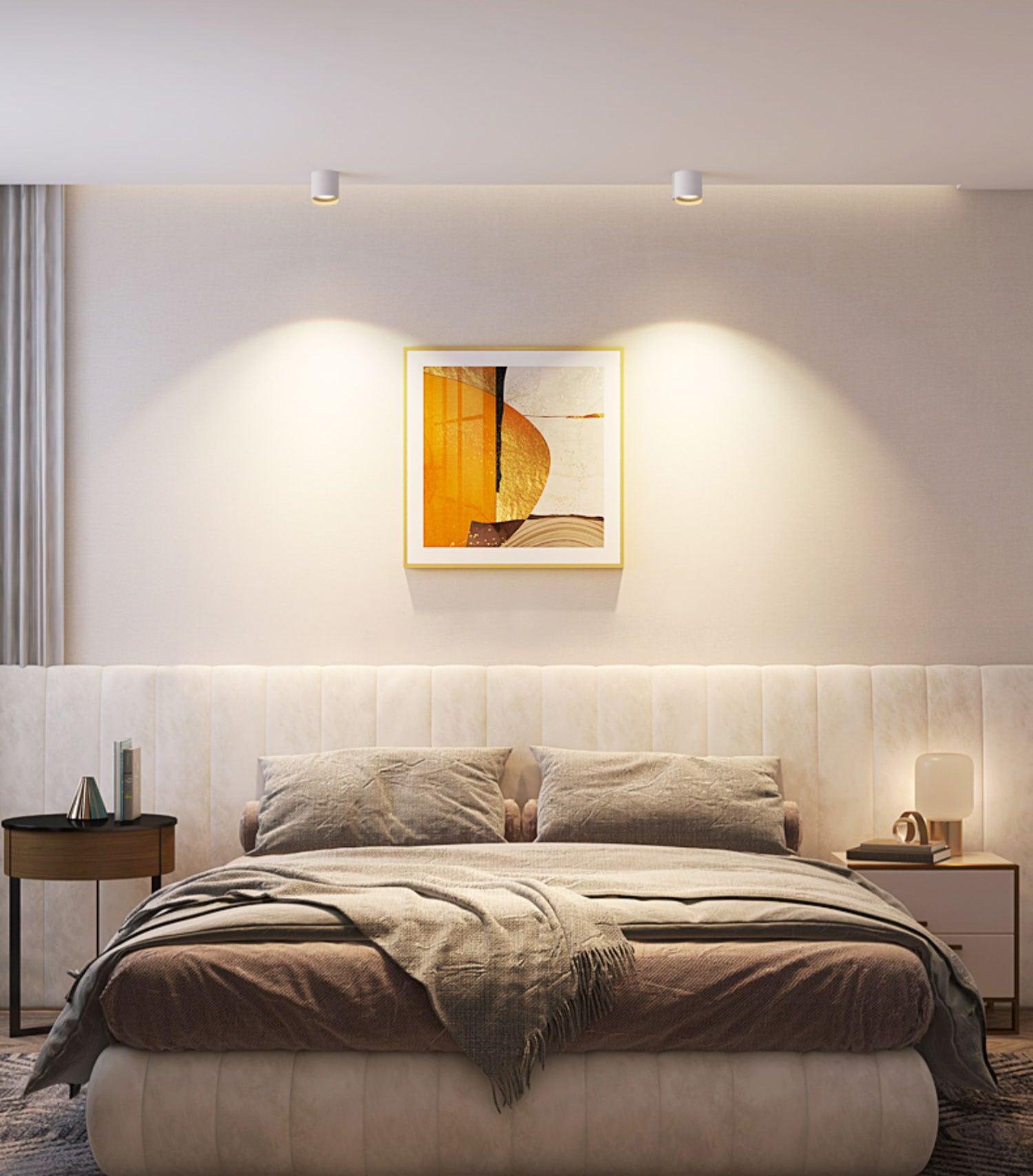 Modern Flush Mount Ceiling Lamp - Sleek Metal Frame with Acrylic Lens