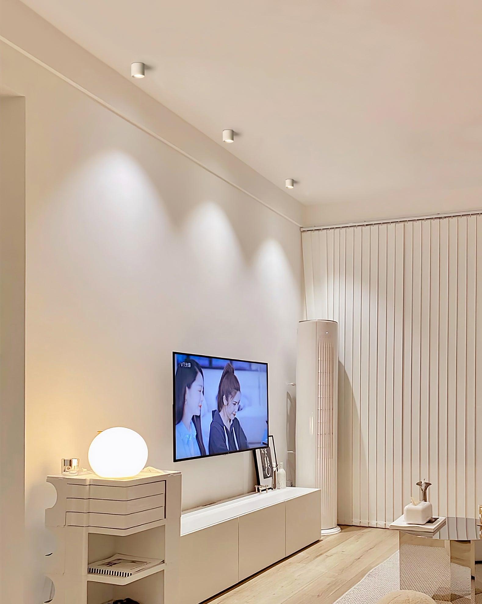 Modern Flush Mount Ceiling Lamp - Sleek Metal Frame with Acrylic Lens