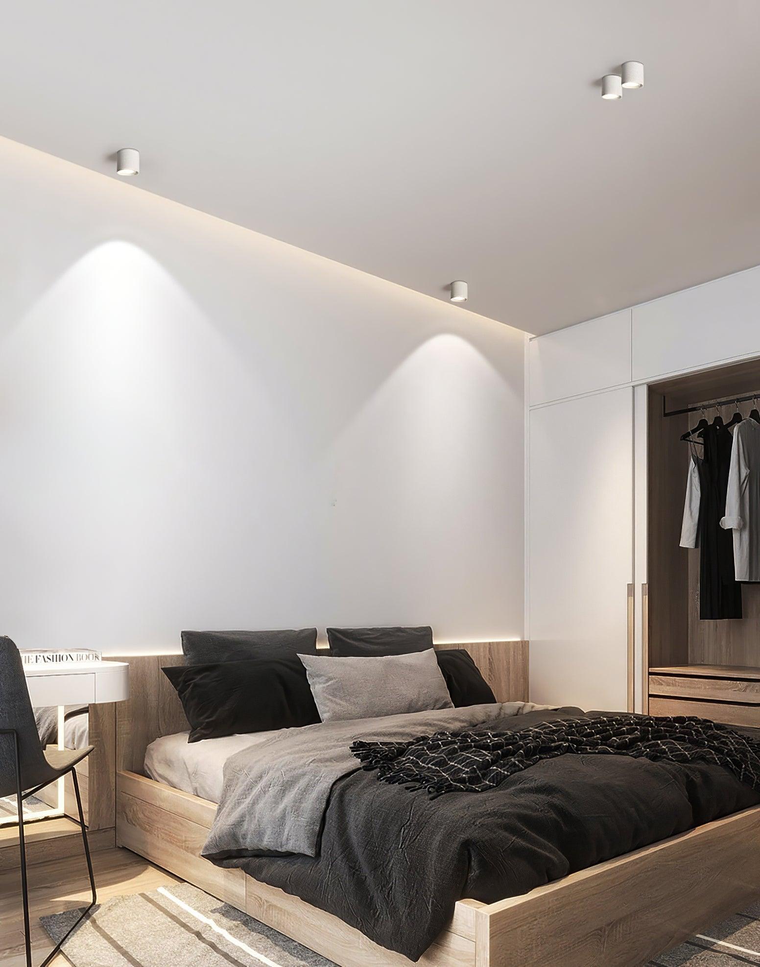 Modern Flush Mount Ceiling Lamp - Sleek Metal Frame with Acrylic Lens