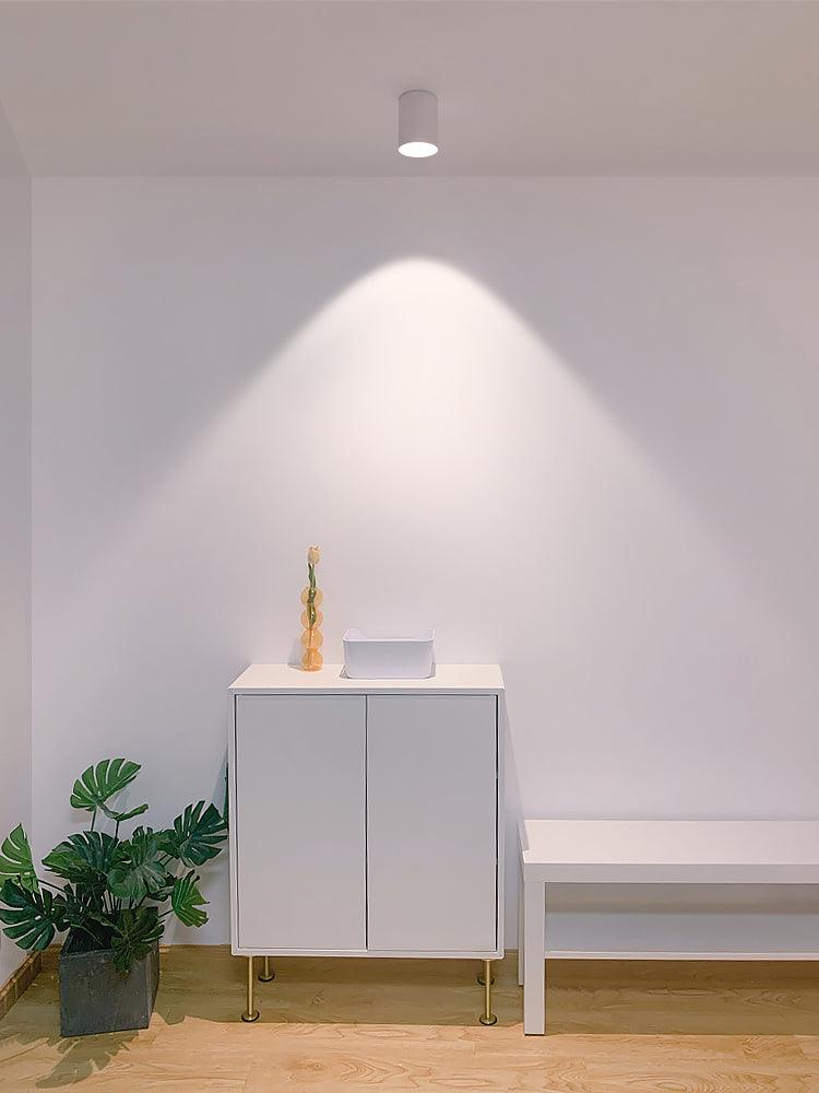 Modern Flush Mount Ceiling Lamp - Sleek Metal Frame with Acrylic Lens