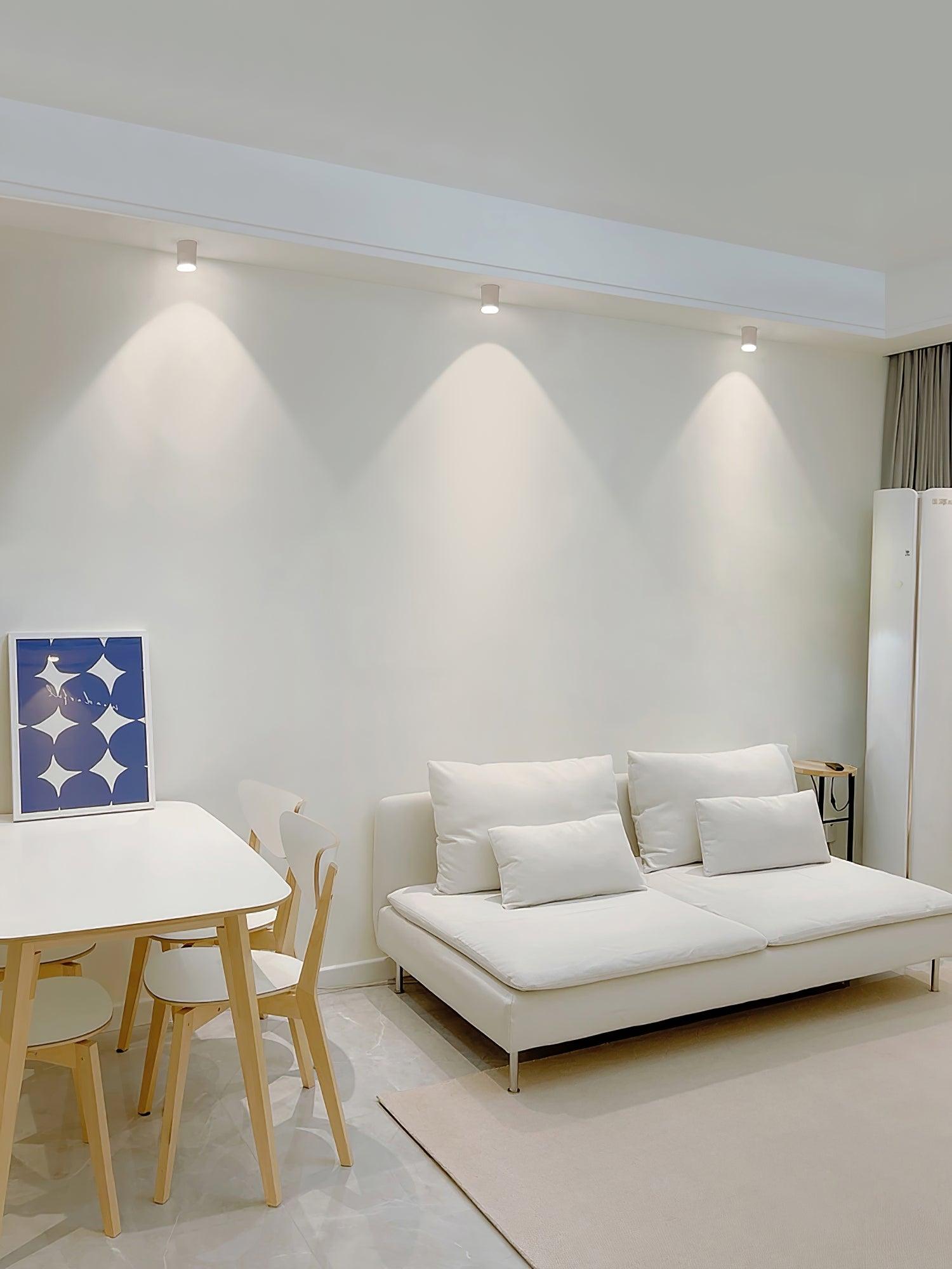 Modern Flush Mount Ceiling Lamp - Sleek Metal Frame with Acrylic Lens