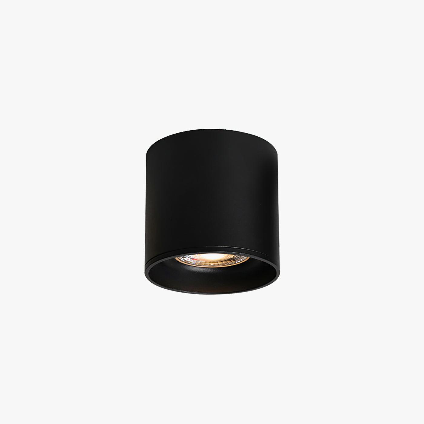 Modern Flush Mount Ceiling Lamp - Sleek Metal Frame with Acrylic Lens