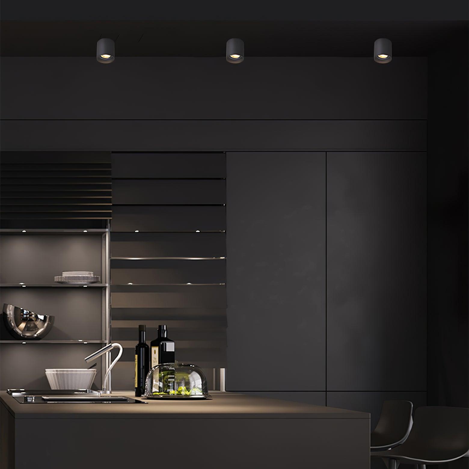 Modern Flush Mount Ceiling Lamp - Sleek Metal Frame with Acrylic Lens