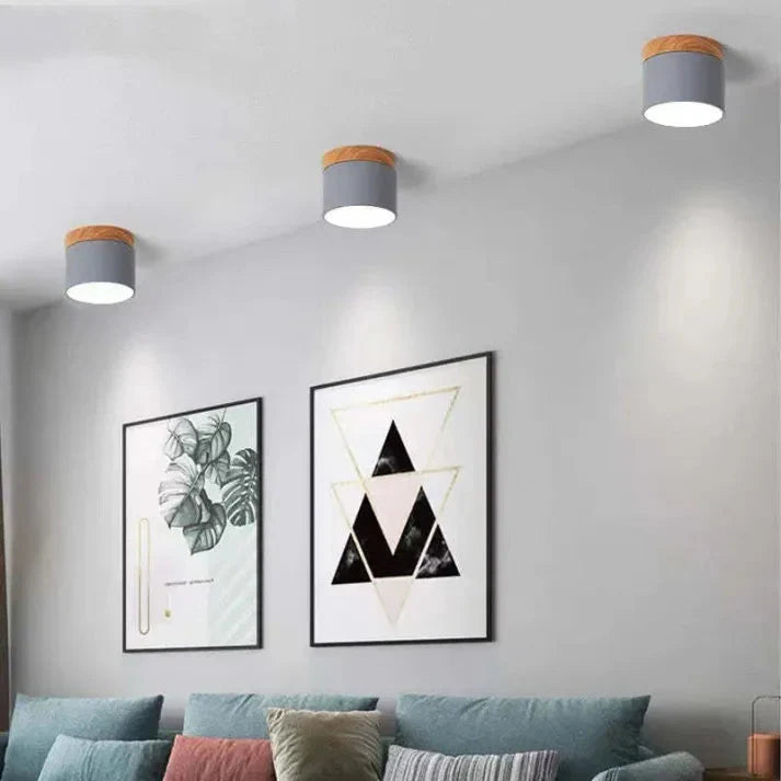 Compact Aluminum Cylinder LED Ceiling Light | Hallways
