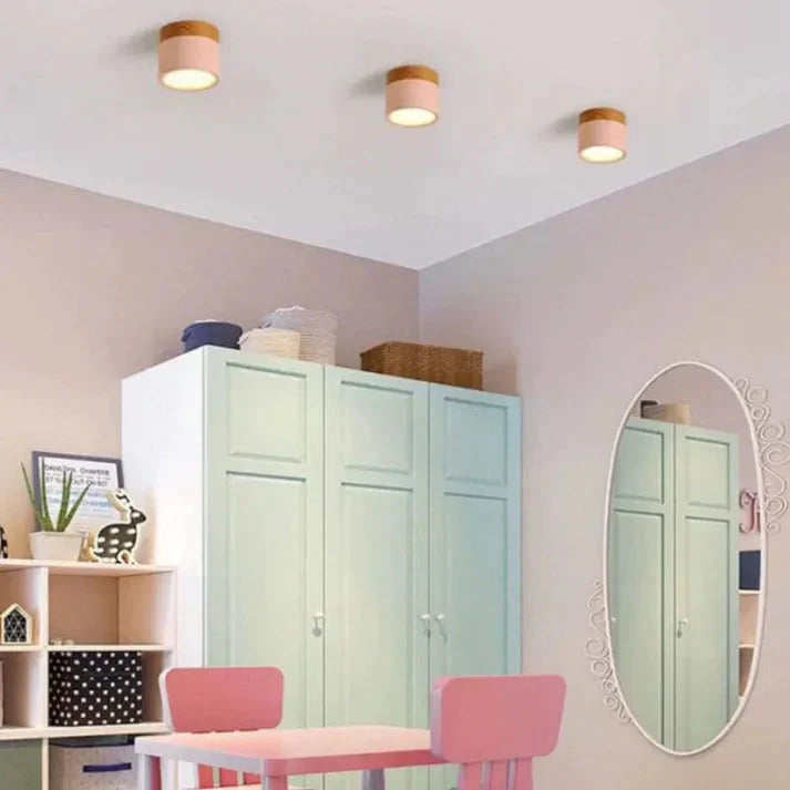 Compact Aluminum Cylinder LED Ceiling Light | Hallways