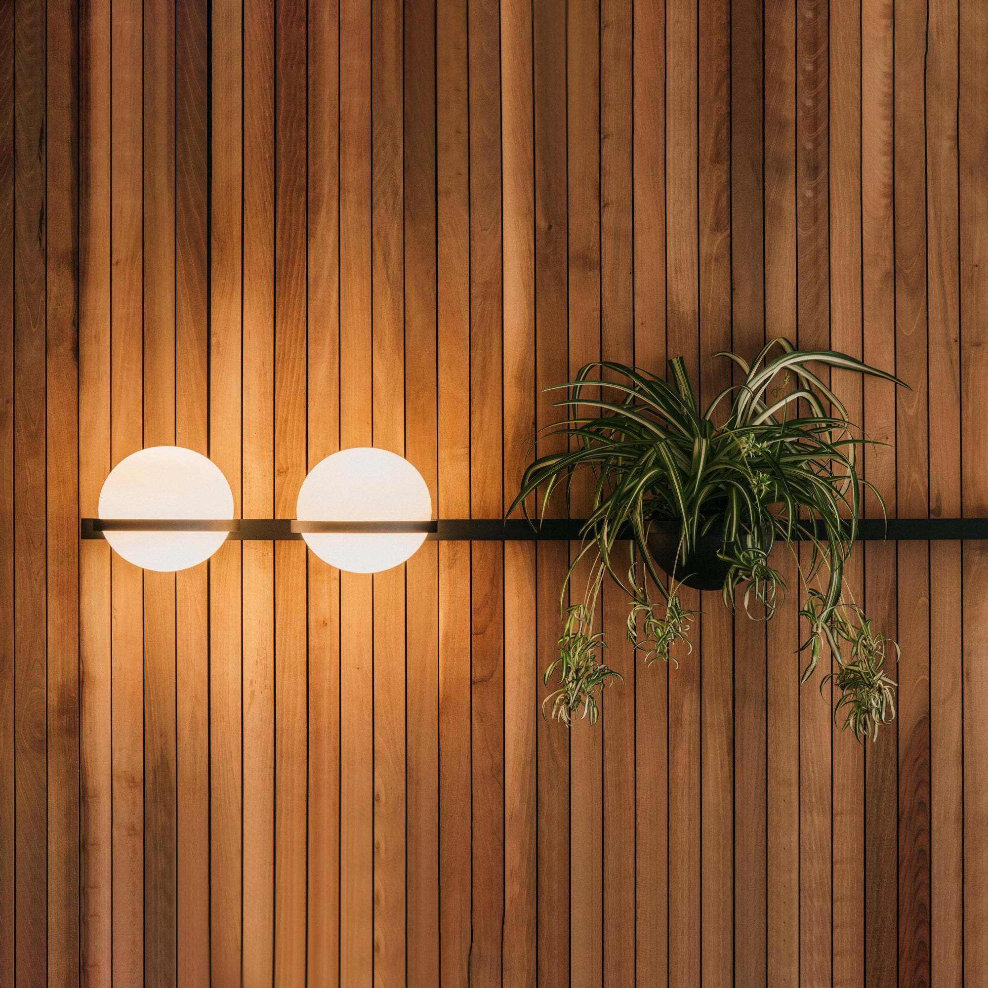 Sleek Globe-Style Outdoor Wall Light