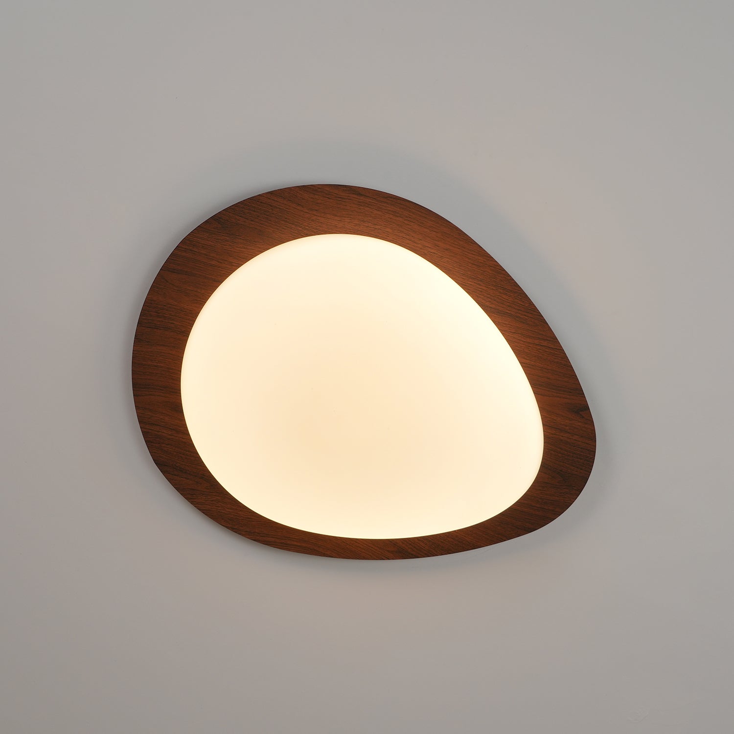 Pebble Shape Ceiling Lamp - Minimalist LED Light Fixture