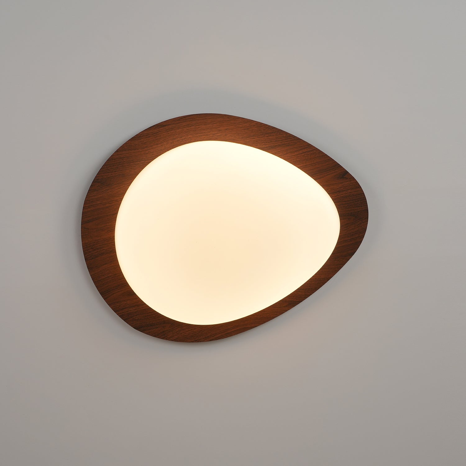 Pebble Shape Ceiling Lamp - Minimalist LED Light Fixture