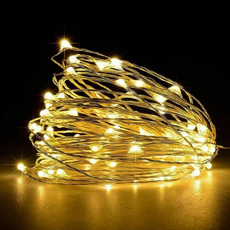 Battery-Powered Fairy String Lights | LED Christmas Light