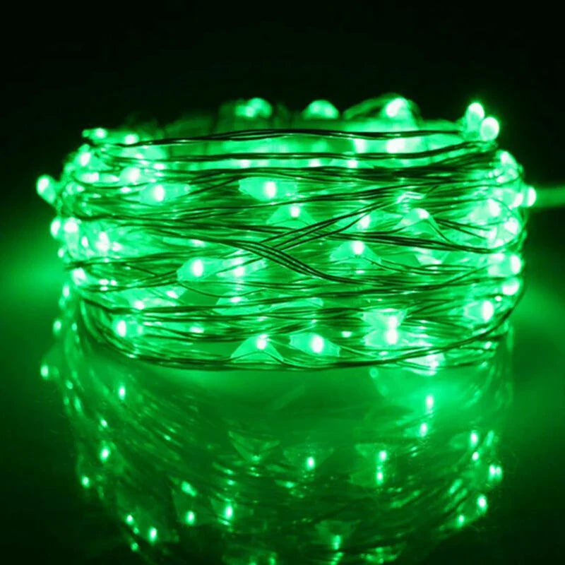 Battery-Powered Fairy String Lights | LED Christmas Light