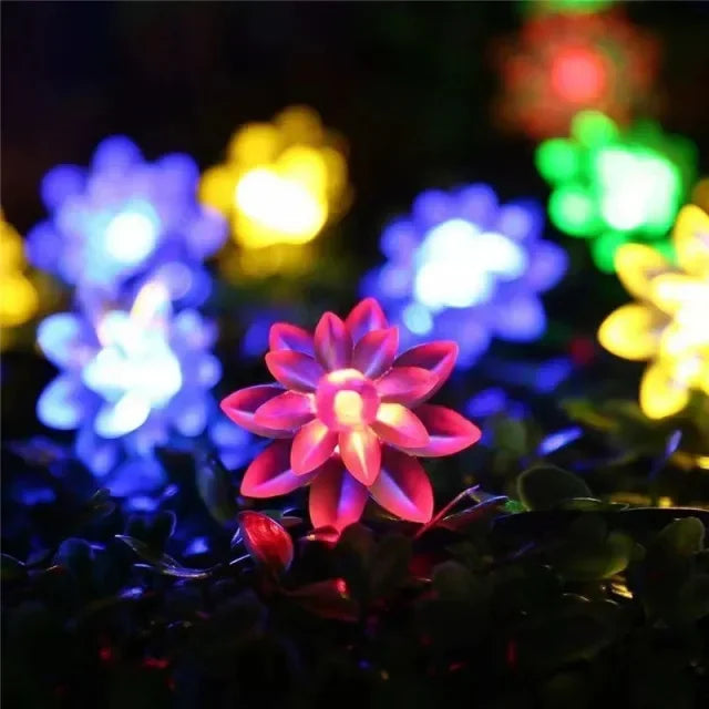 Colour-Changing Moroccan LED Christmas Lights | Multi-Color Garden Lighting