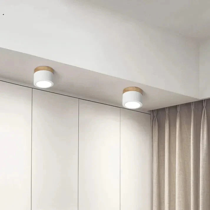 Compact Aluminum Cylinder LED Ceiling Light | Hallways