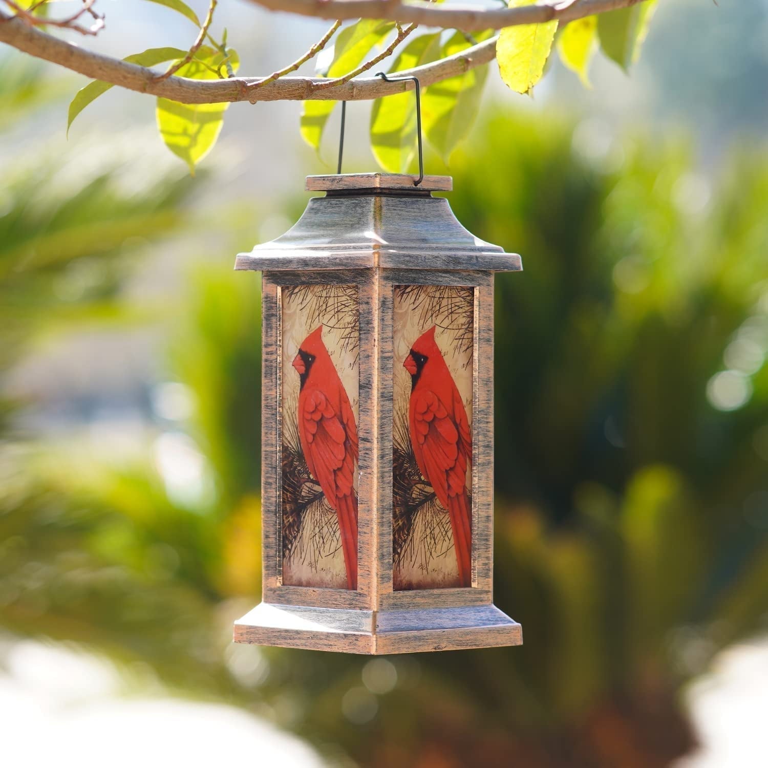 Metal Lantern with Cardinal Motif | Vintage-Inspired Light