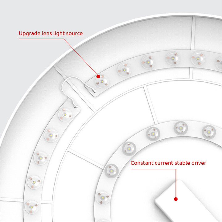 Elegant Round LED Light for Modern Interiors