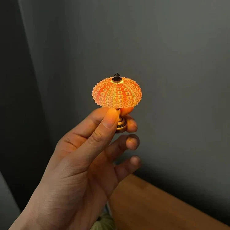 Creative DIY Sea Urchin Light