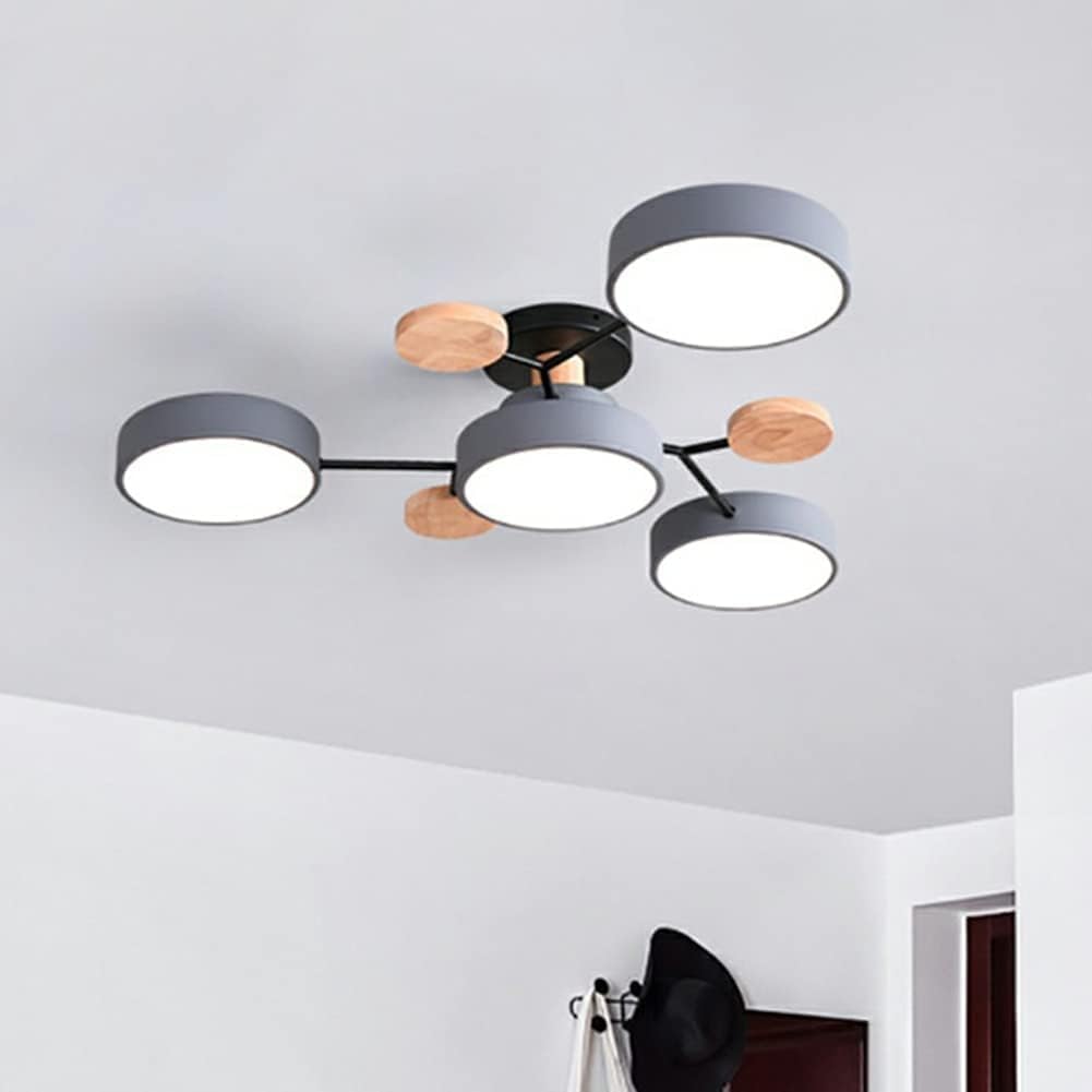 Contemporary Round LED Ceiling Light for Living Room