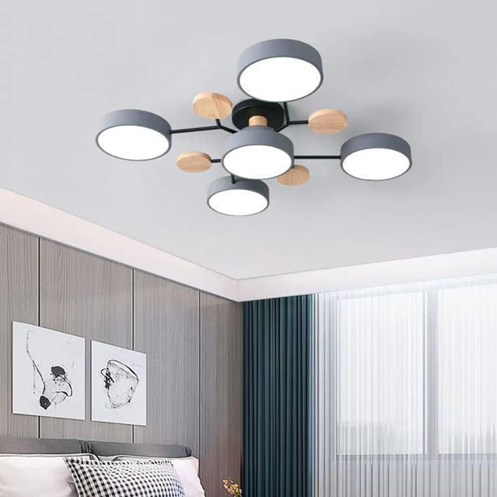 Contemporary Round LED Ceiling Light for Living Room