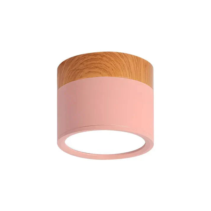 Compact Aluminum Cylinder LED Ceiling Light | Hallways