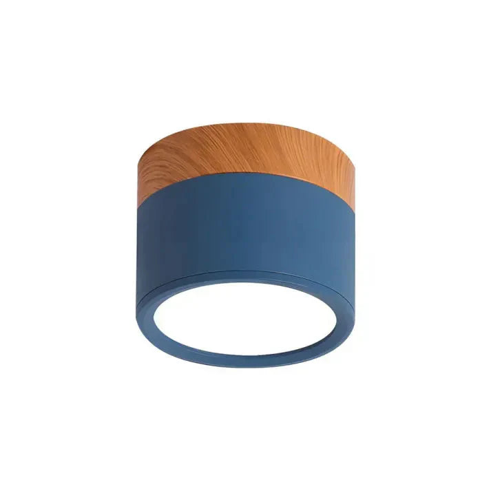 Compact Aluminum Cylinder LED Ceiling Light | Hallways