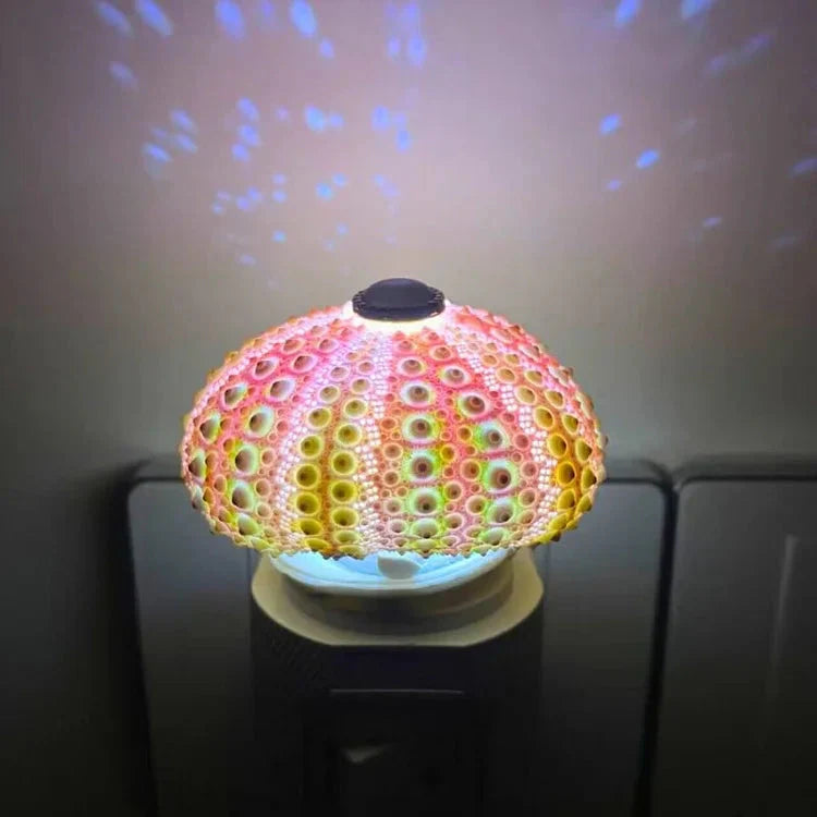 Creative DIY Sea Urchin Light