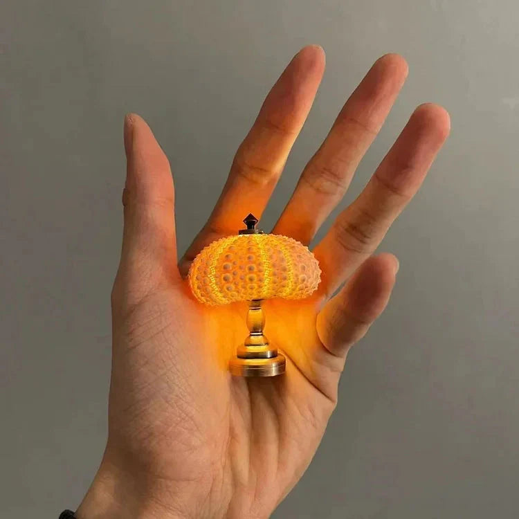 Creative DIY Sea Urchin Light