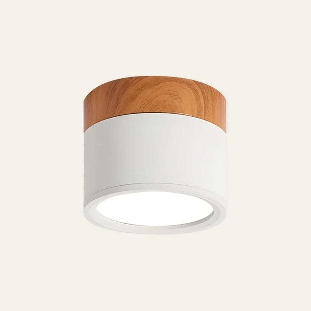 Cylindrical LED Recessed Ceiling Light – Modern Style