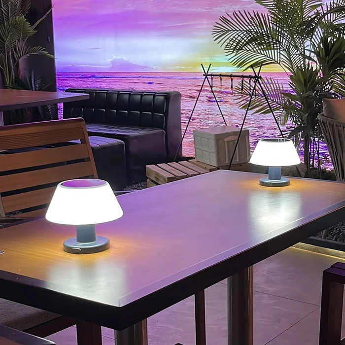 Solar-Powered LED Table Lamp