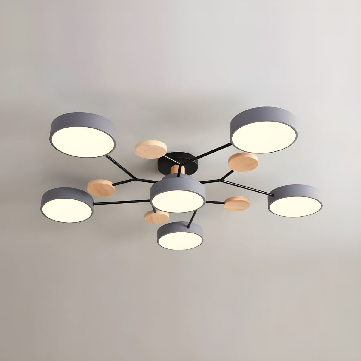 Contemporary Round LED Ceiling Light for Living Room