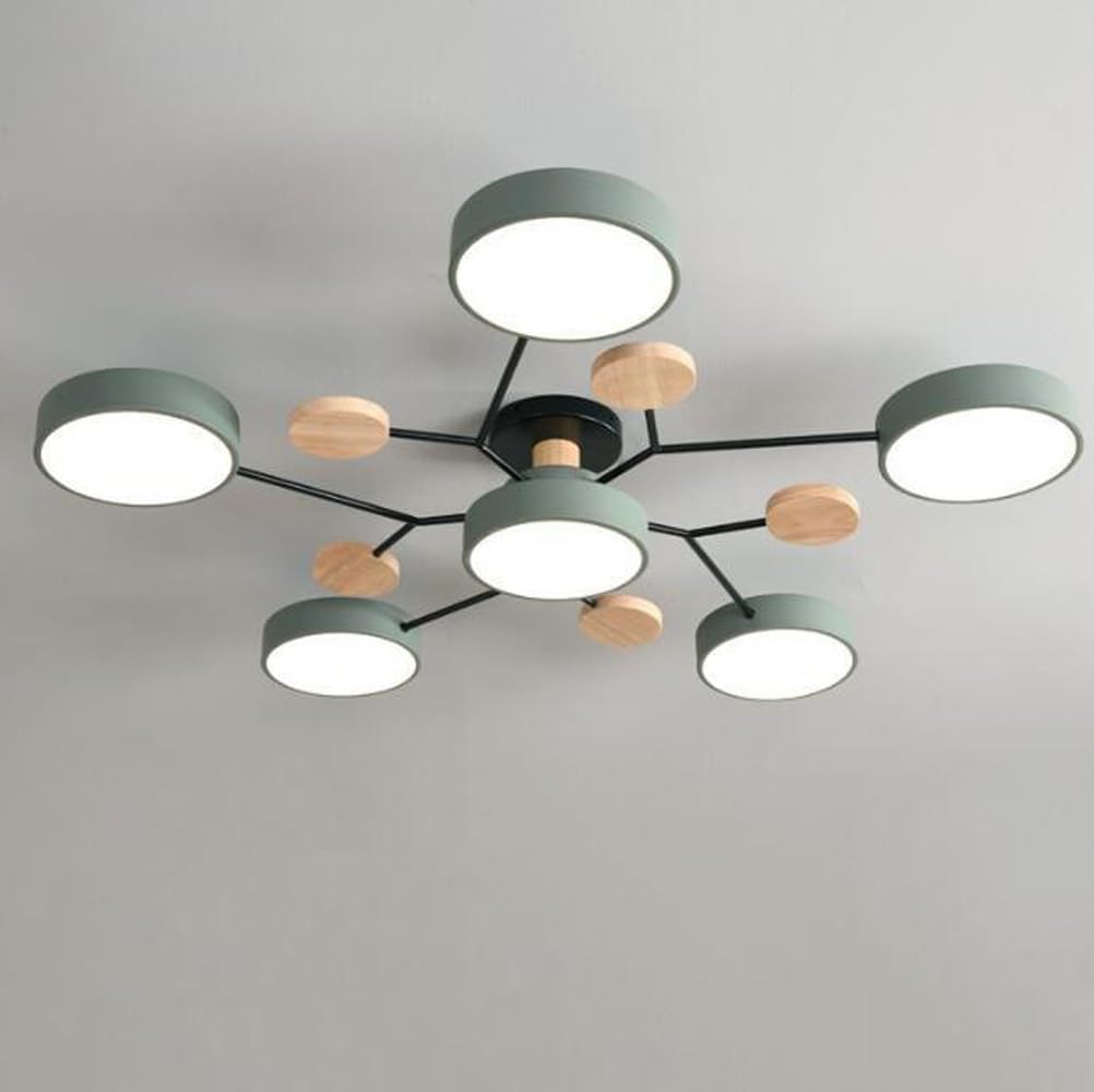 Contemporary Round LED Ceiling Light for Living Room