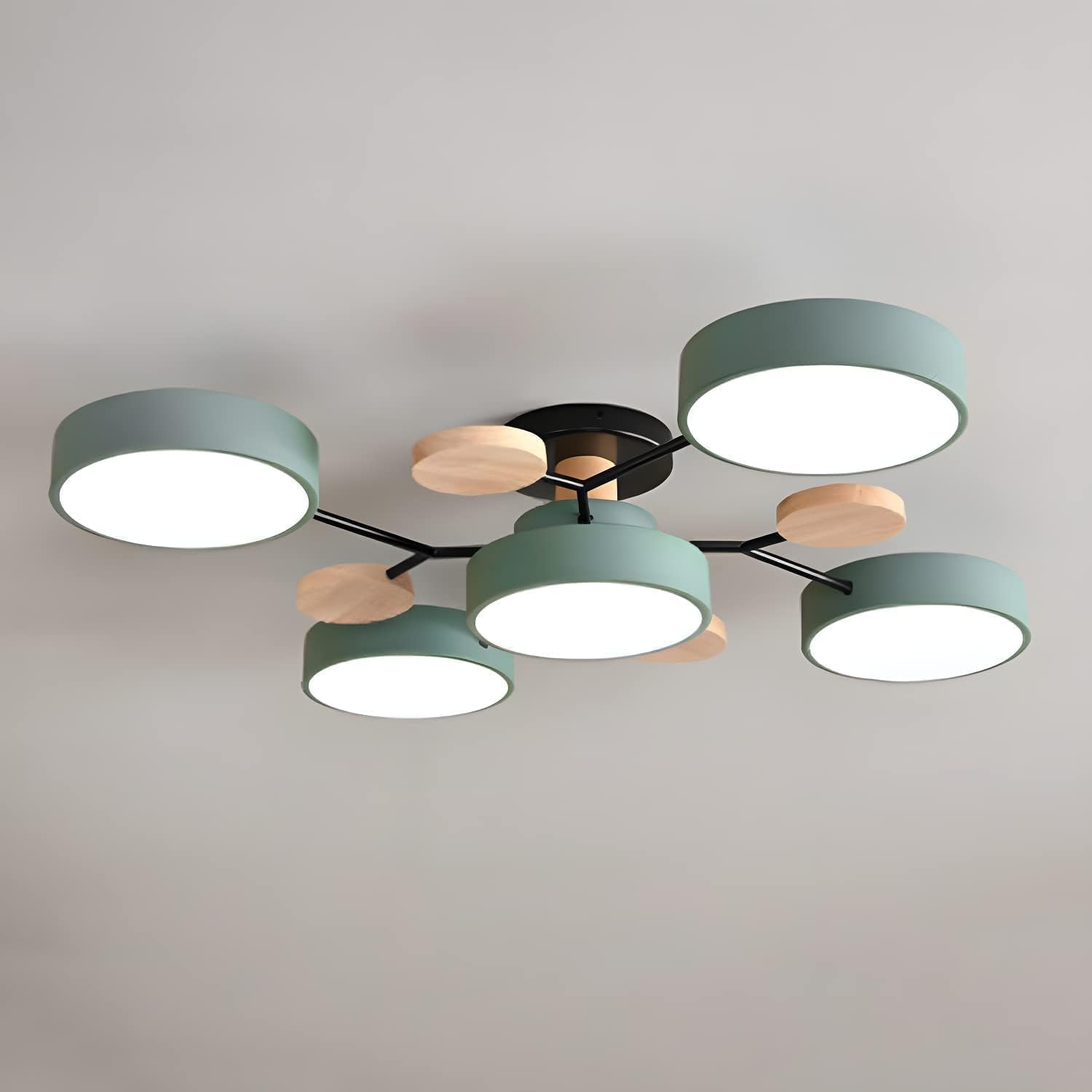 Contemporary Round LED Ceiling Light for Living Room
