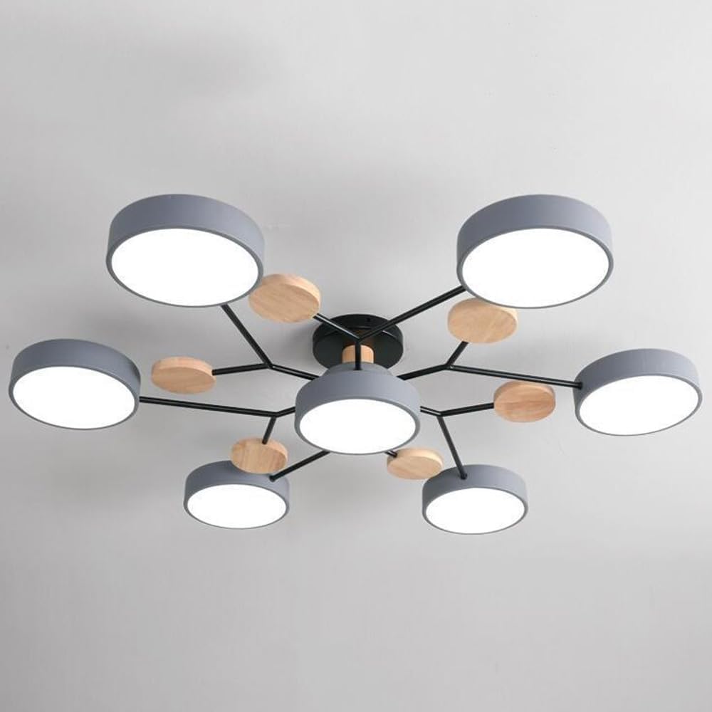 Contemporary Round LED Ceiling Light for Living Room