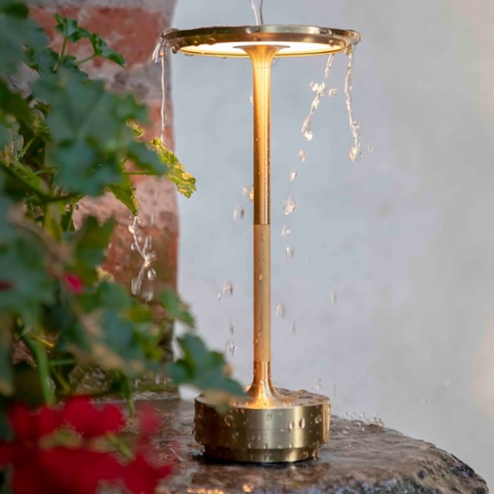 Sophisticated Table Lamp