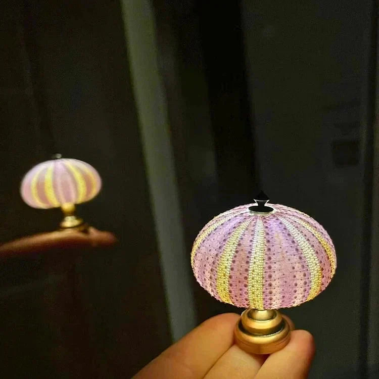 Creative DIY Sea Urchin Light