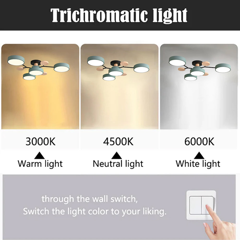 Contemporary Round LED Ceiling Light for Living Room