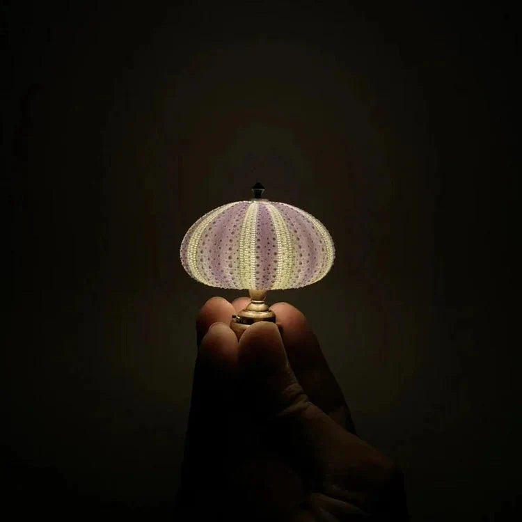 Creative DIY Sea Urchin Light