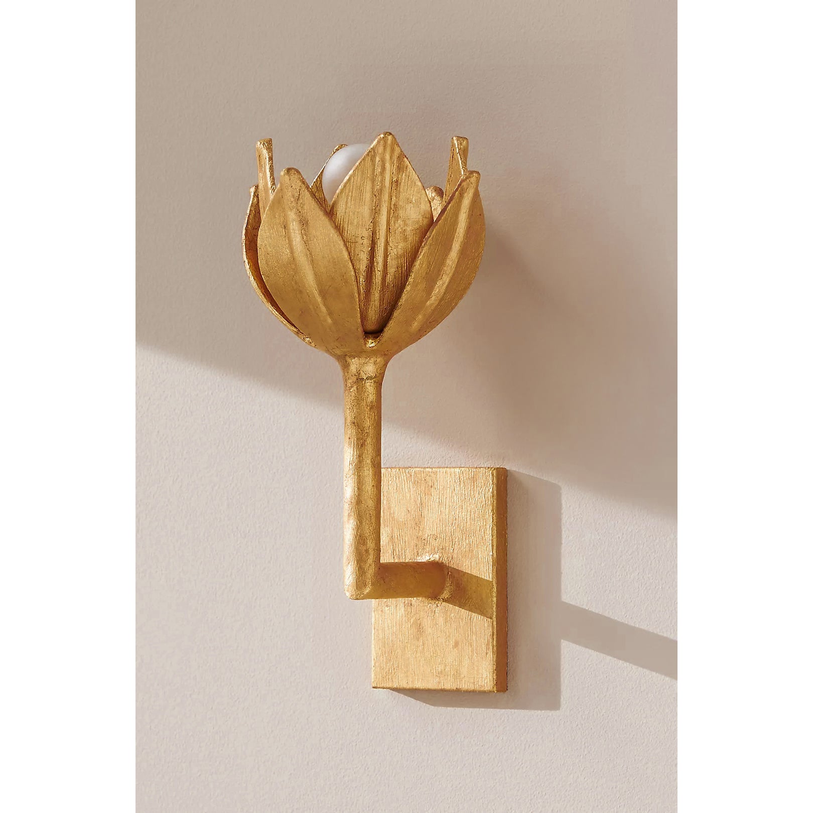 Floral Wall Sconce with Plaster Finish – Brass Accent Decorative Wall Light
