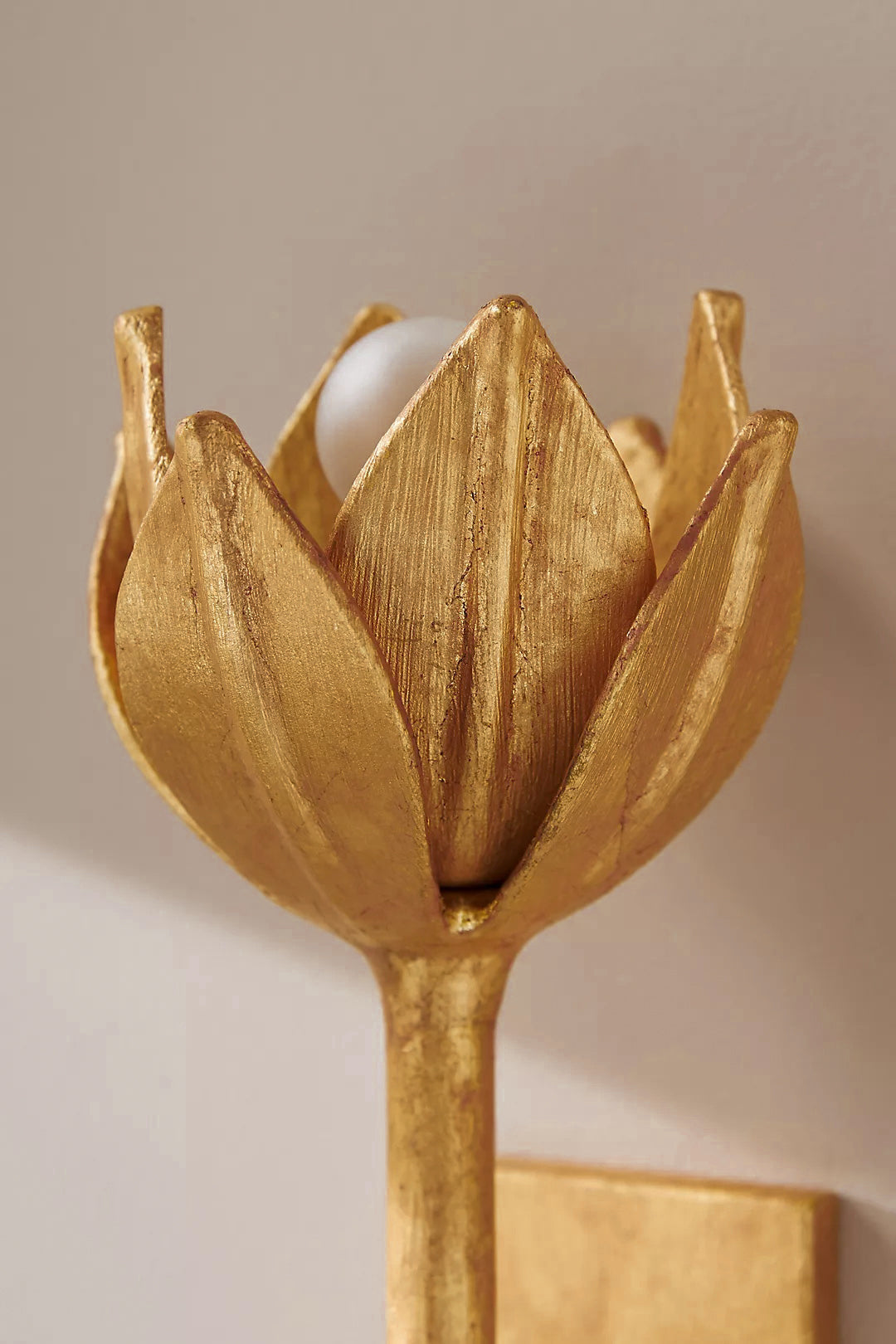 Floral Wall Sconce with Plaster Finish – Brass Accent Decorative Wall Light