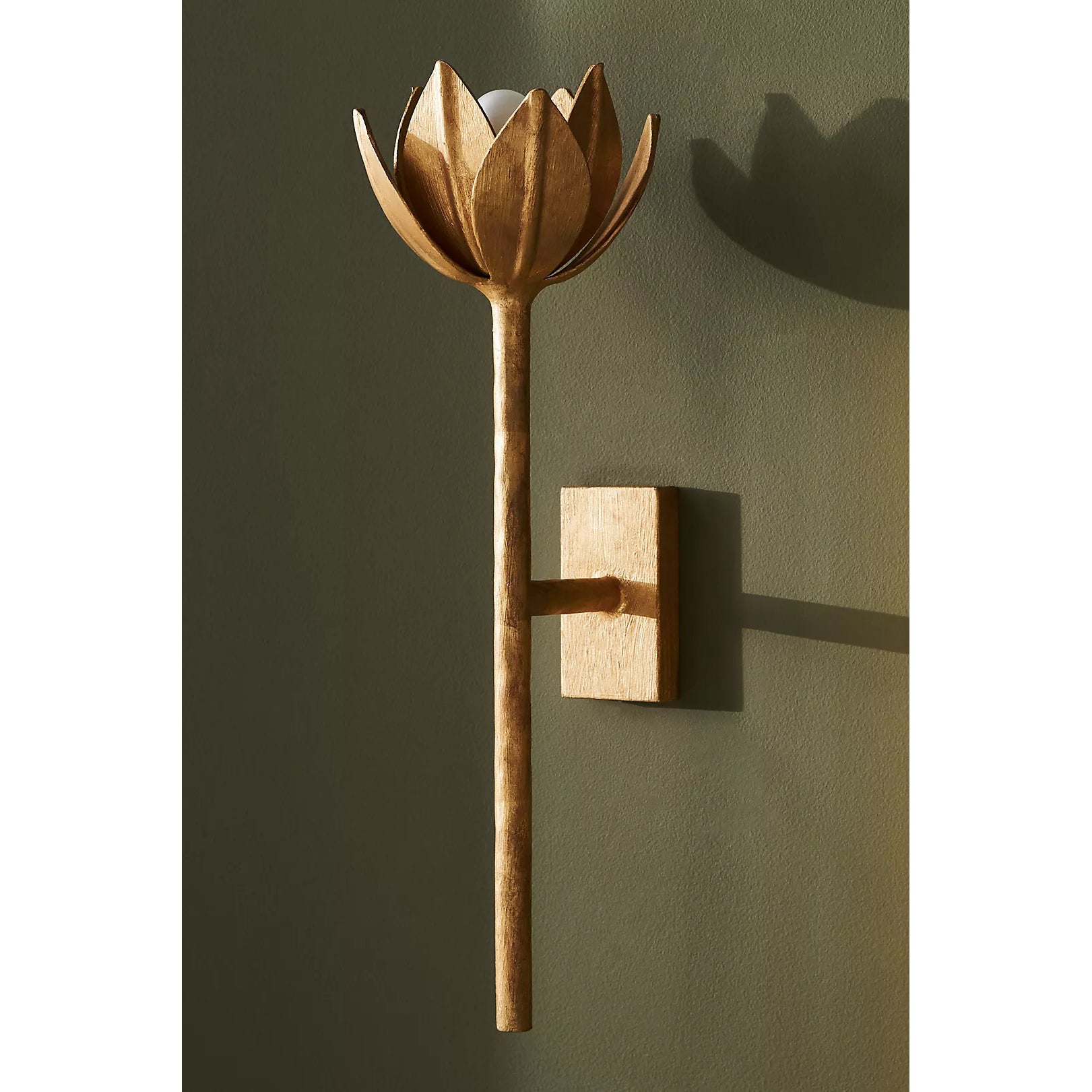 Floral Wall Sconce with Plaster Finish – Brass Accent Decorative Wall Light